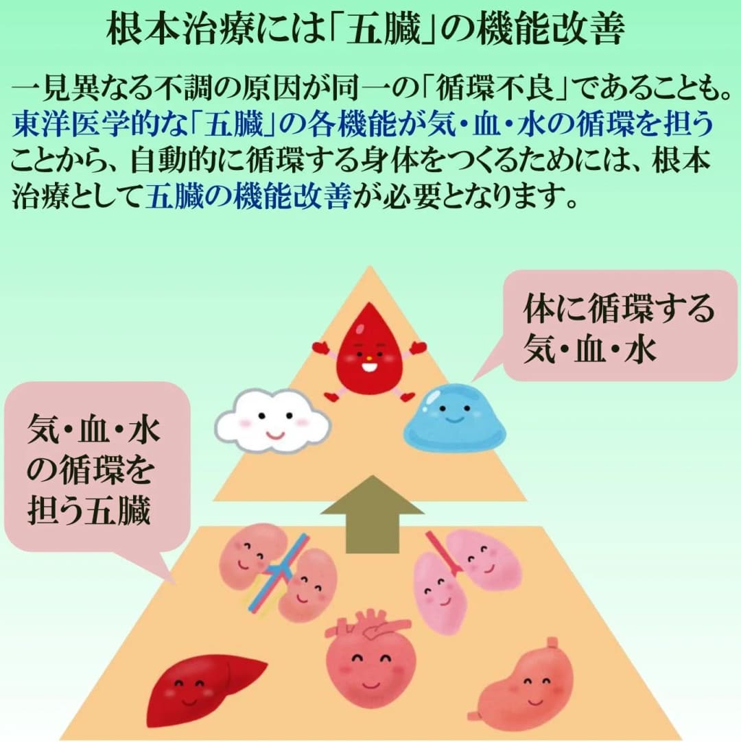 五臓六腑の図解